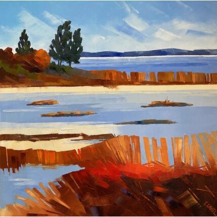 Painting Lagune sauvage by Clavel Pier-Marion | Painting Impressionism Oil, Wood Landscapes