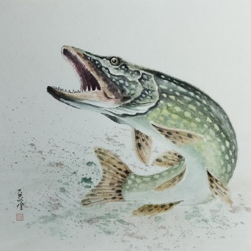 Peinture Pike par Du Mingxuan | Tableau Figuratif Animaux Aquarelle Encre