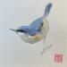 Painting Bird by Yu Huan Huan | Painting Figurative Animals Ink