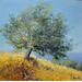 Painting sur l'ile de Paros en Gréce by Sannier Daniel | Painting Impressionism Landscapes Oil