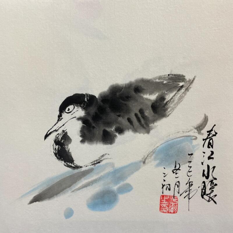 Painting Duck  by Yu Huan Huan | Painting Figurative Animals Ink
