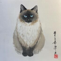 Painting Cat lady  by Yu Huan Huan | Painting