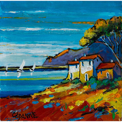 Gemälde Rouge coquelicot von Cédanne | Gemälde Figurativ Acryl, Öl Landschaften, Marine