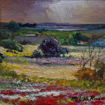 Painting Flores y amapolas by Cabello Ruiz Jose | Painting