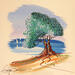 Painting L'olivier à Cannes by Fonteyne David | Painting Figurative Acrylic