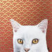Painting Cat see you 68 by Milie Lairie | Painting Realism Animals Oil Gluing