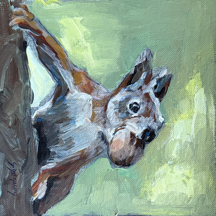 Painting Ecureuil à croquer by Morales Géraldine | Painting Figurative Acrylic Animals