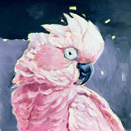 Painting Cacatoès by Morales Géraldine | Painting Figurative Oil Animals