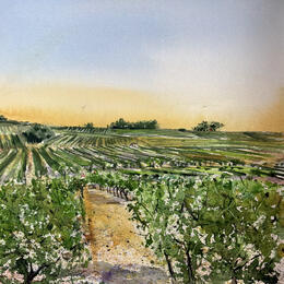 Painting Anjou Les vignes  by Hoffmann Elisabeth | Painting