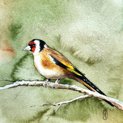 Painting Le chardonneret by Baudry Claire | Painting