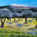 Peinture Les oliviers du Mont Ventoux. par Rey Ewa | Tableau Figuratif Paysages Acrylique