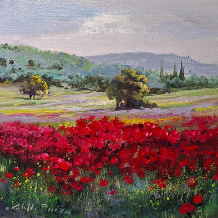 Painting Amapolas en verano by Cabello Ruiz Jose | Painting