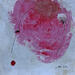 Peinture abstract A 181 par Wilms Hilde | Tableau Abstrait Acrylique Sable