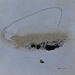 Peinture abstract B 168 par Wilms Hilde | Tableau Abstrait Acrylique Sable
