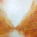 Peinture Soleil orange par Levesque Emmanuelle | Tableau Huile