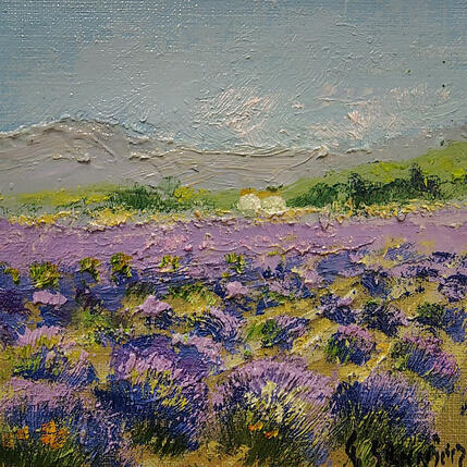 Painting Champs de lavandes en Provence by Sannier Daniel | Painting Impressionism Oil Landscapes