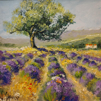 Peinture Oliviers et champs de lavandes par Sannier Daniel | Tableau Impressionnisme Huile Paysages