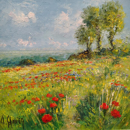 Painting Coquelicots en Baie de Somme by Sannier Daniel | Painting Impressionism Oil Landscapes