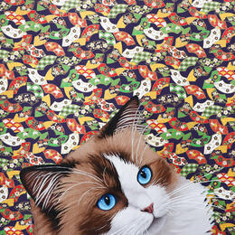 Painting CAT SEE YOU 103 by Milie Lairie | Painting