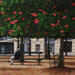 Painting Au bout du banc by Poulain Clément | Painting Realism Urban Architecture Oil