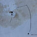 Peinture abstract A 183 par Wilms Hilde | Tableau Abstrait Acrylique Feuille d'or