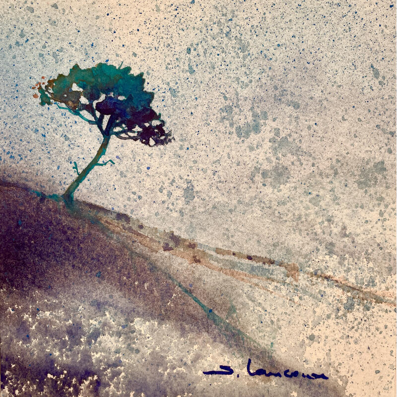 Peinture Le pin vert par Langeron Stéphane | Tableau Figuratif Paysages Aquarelle
