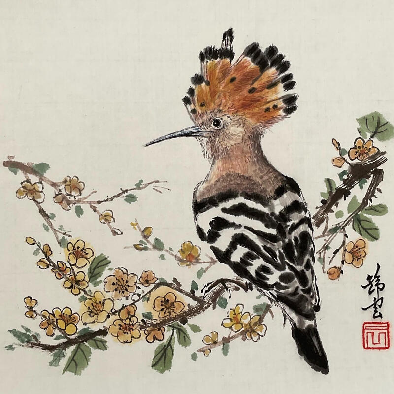Peinture Huppe Fasciée par Tayun | Tableau Figuratif Animaux Aquarelle Encre
