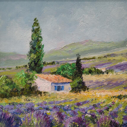 Painting Cabanon dans le Lubéron by Sannier Daniel | Painting Impressionism Oil Landscapes