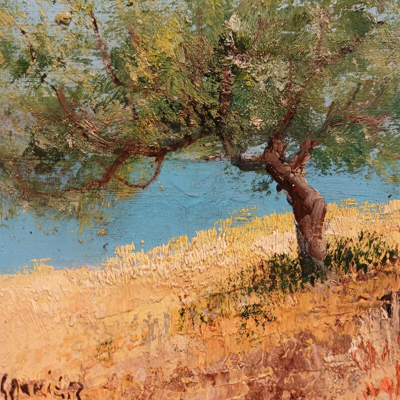 Painting Olivier à Paros by Sannier Daniel | Painting Impressionism Landscapes Oil