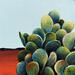 Painting Prickly Patch by Saxton Patricia | Painting