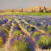 Peinture Le plateau de Valensole par Sannier Daniel | Tableau Impressionnisme Paysages Huile