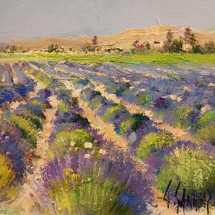 Gemälde Le plateau de Valensole von Sannier Daniel | Gemälde Impressionismus Öl Landschaften, Pop-Ikonen