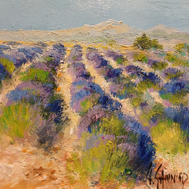 Painting Lavandes sur le plateau de Valensole by Sannier Daniel | Painting Impressionism Landscapes Oil