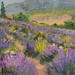 Painting Le Lubéron et ses lavandes by Sannier Daniel | Painting Impressionism Landscapes Oil