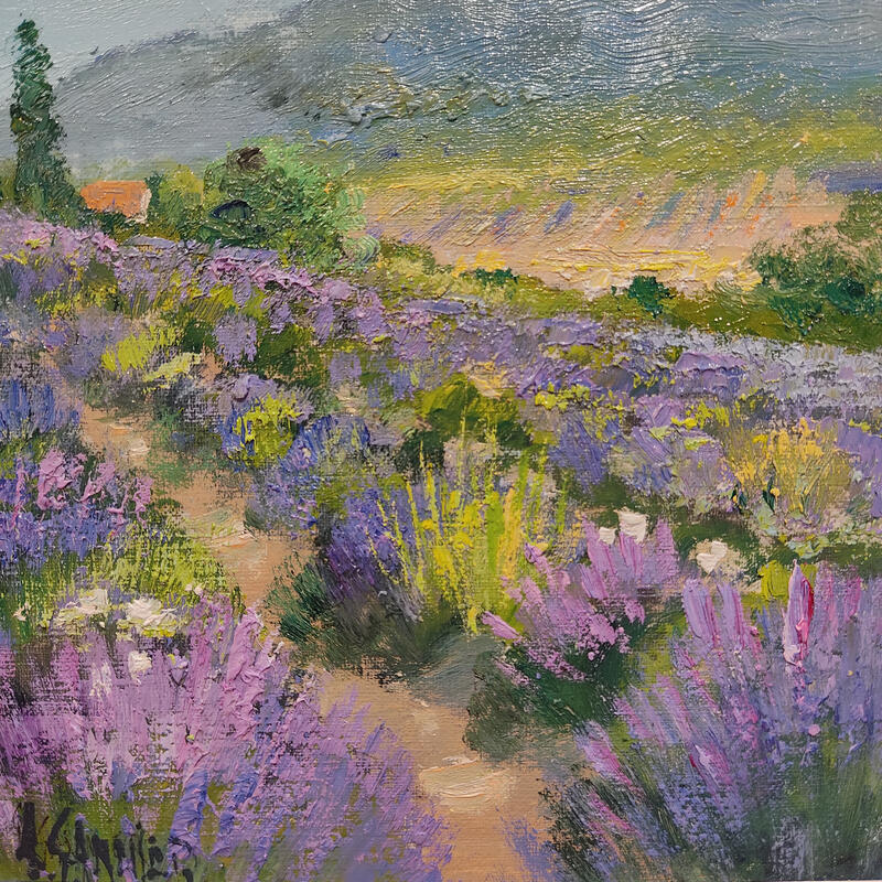 Painting Le Lubéron et ses lavandes by Sannier Daniel | Painting Impressionism Landscapes Oil