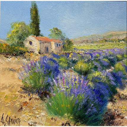Painting Cabanon dans les lavandes by Sannier Daniel | Painting Impressionism Oil Landscapes