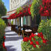 Painting The terrace in Red and Green by Murgatroyd Daniel | Painting