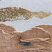 Painting ORO LIQUIDO by Roma Gaia | Painting Subject matter Minimalist Acrylic Sand