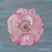 Painting Pavot by Amblard Florence | Painting Landscapes Nature Acrylic