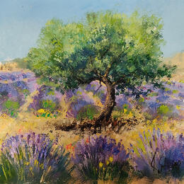Painting L'olivier dans les lavandes by Sannier Daniel | Painting Impressionism Oil Landscapes