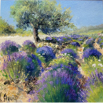 Peinture Oliviers et lavandes vers Sault par Sannier Daniel | Tableau Impressionnisme Huile Paysages