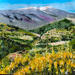 Peinture La face nord du Mont Ventoux. Brantes  par Rey Ewa | Tableau Figuratif Paysages Acrylique