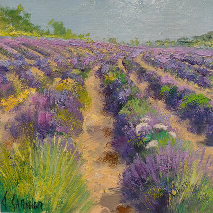 Peinture Le champ de lavandes par Sannier Daniel | Tableau Impressionnisme Huile Paysages