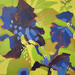 Painting Controlled Chaos by Kivisto Jamie | Painting