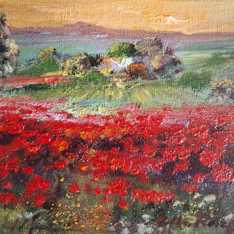 Painting Amapolas by Cabello Ruiz Jose | Painting Figurative Landscapes Oil