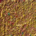 Painting Sun-kissed by Antoniuk Nadiia | Painting Impressionism Nature Acrylic