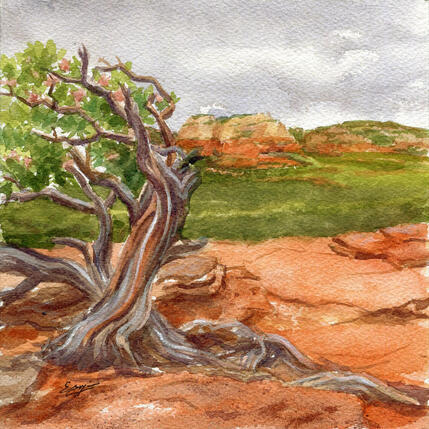 Peinture L'arbre de Manzanita par Elisabeth Bazin | Tableau