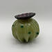 Sculpture Petite pistachio III par Emily Ellsworth | Sculpture