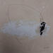 Gemälde abstract beige B 169 von Wilms Hilde | Gemälde Abstrakt Acryl Sand