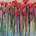 Peinture Floraison suspendue par Geiry | Tableau Matiérisme Nature Bois Pigments Poudre de marbre